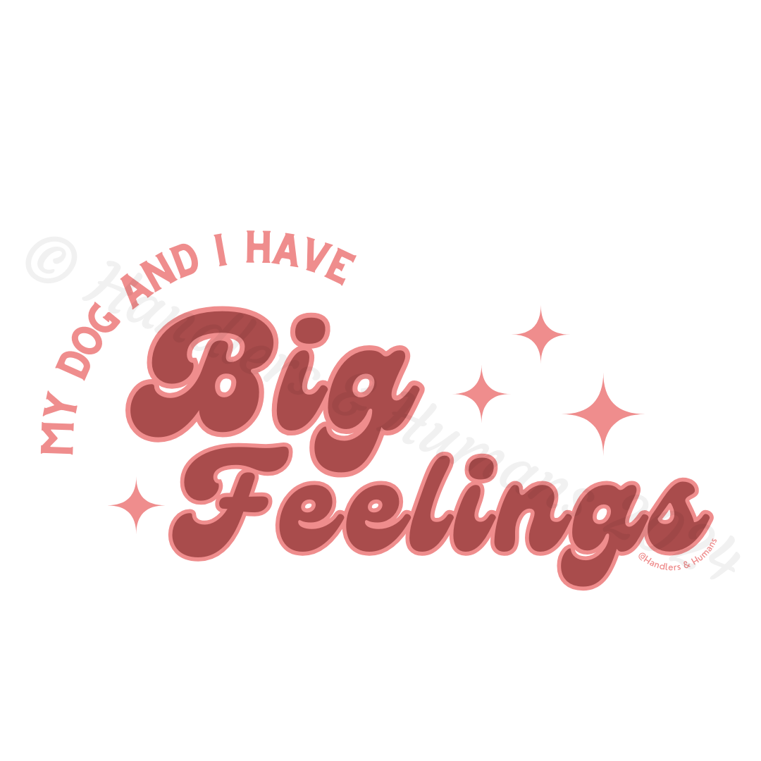 Big Feelings Stars Shirt