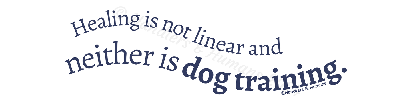Healing is Not Linear Bowl