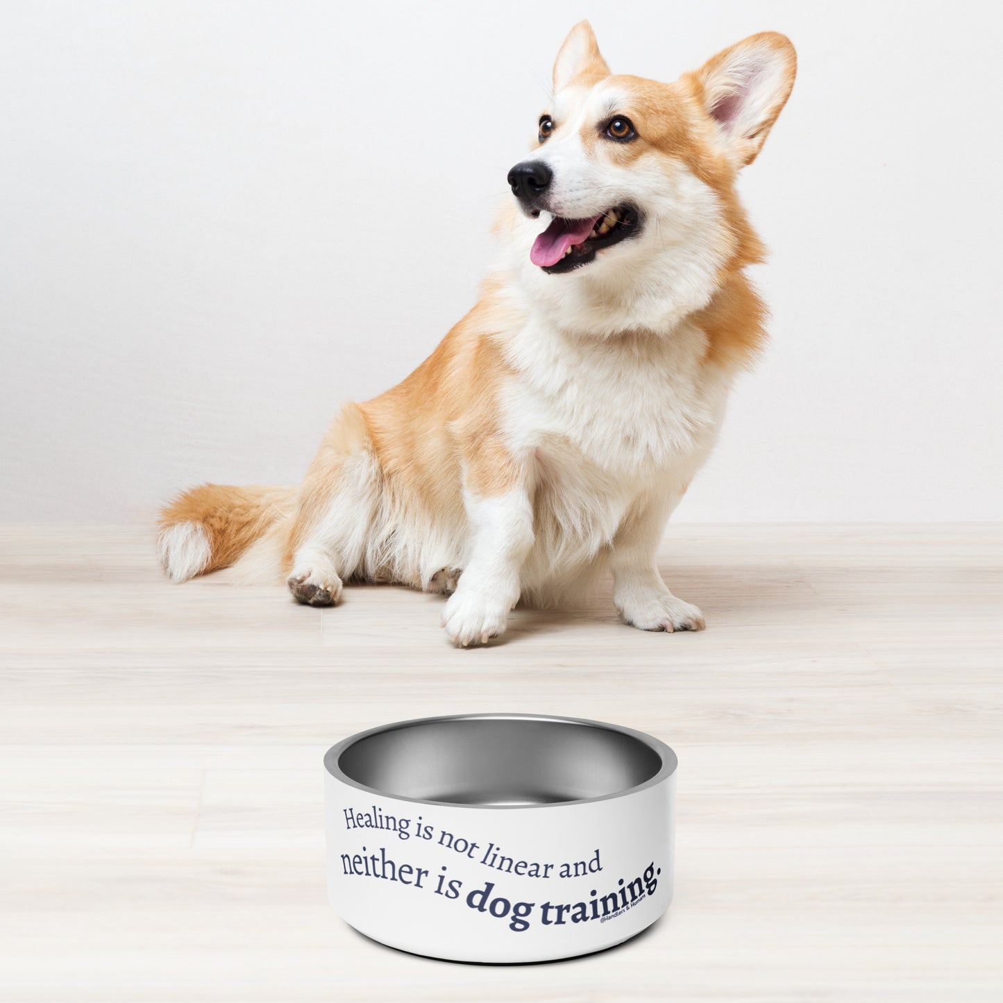 Healing is Not Linear Bowl
