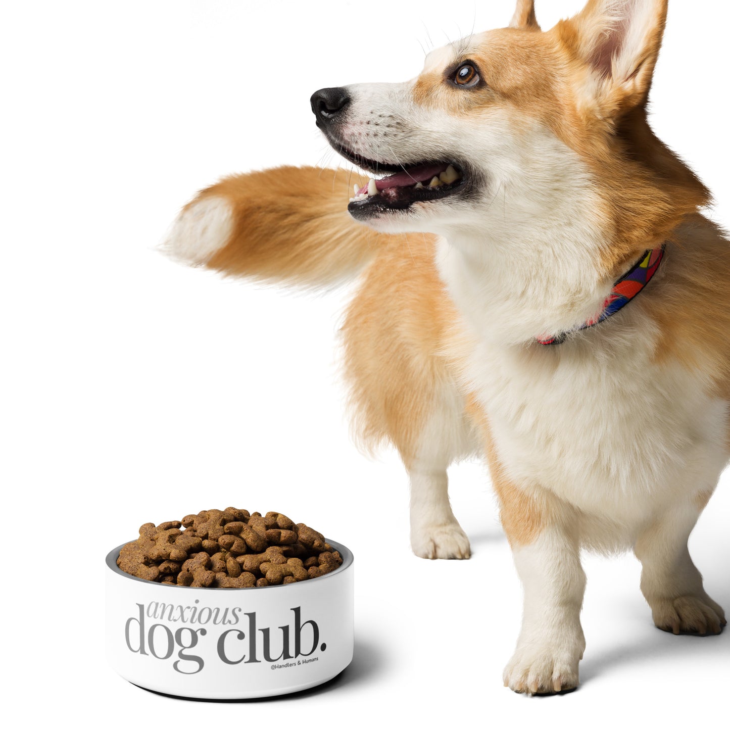 Anxious Dog Club Bowl